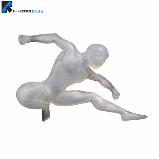 High Quality Thinkrisen Fast Printing Rapid Stamp Customized 3D Model Service